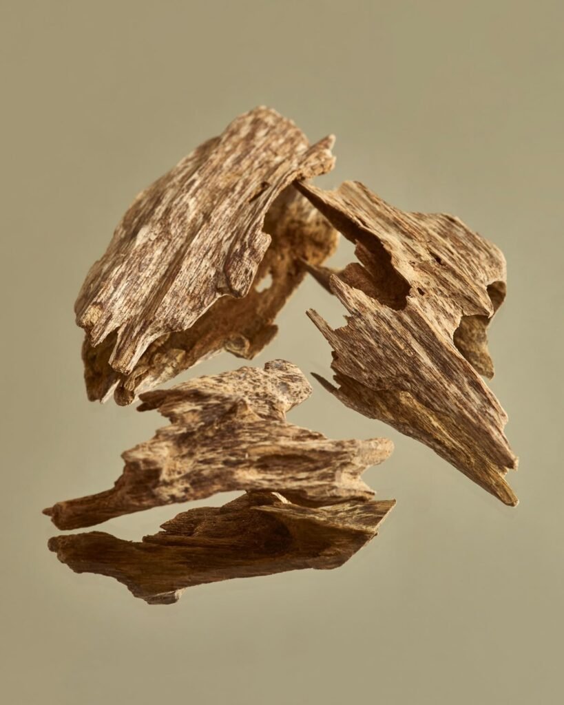 Agarwood Chips